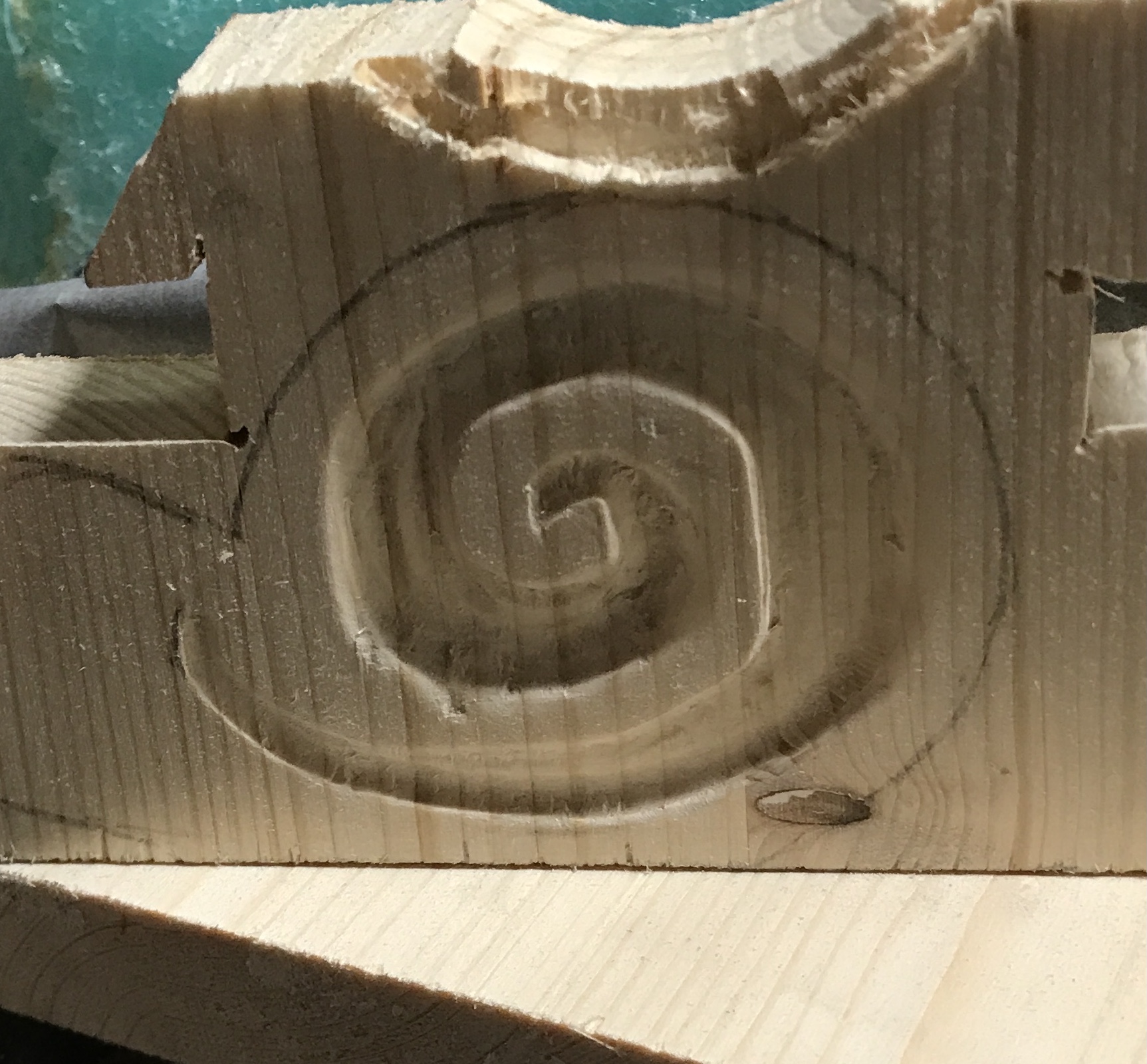 An attempted scroll carving